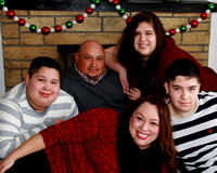 Andrea & Family Christmas Mini 2015
